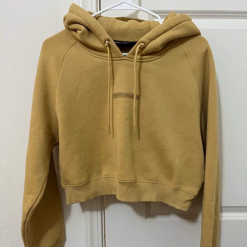 Alphalete Cropped Hoodie